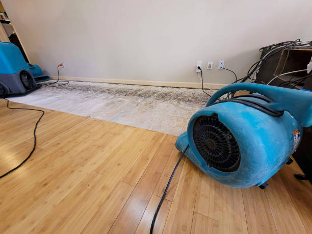 Professional Water Damage Repair technician working in Wellton, AZ